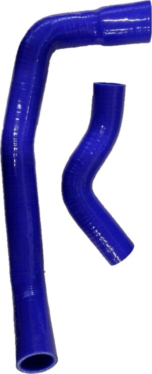 HH-NIS19